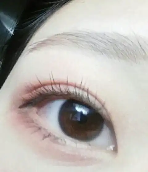 코코덕