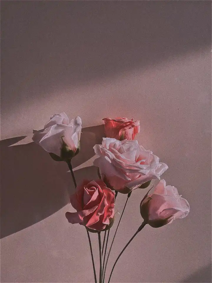 반쨕반짝