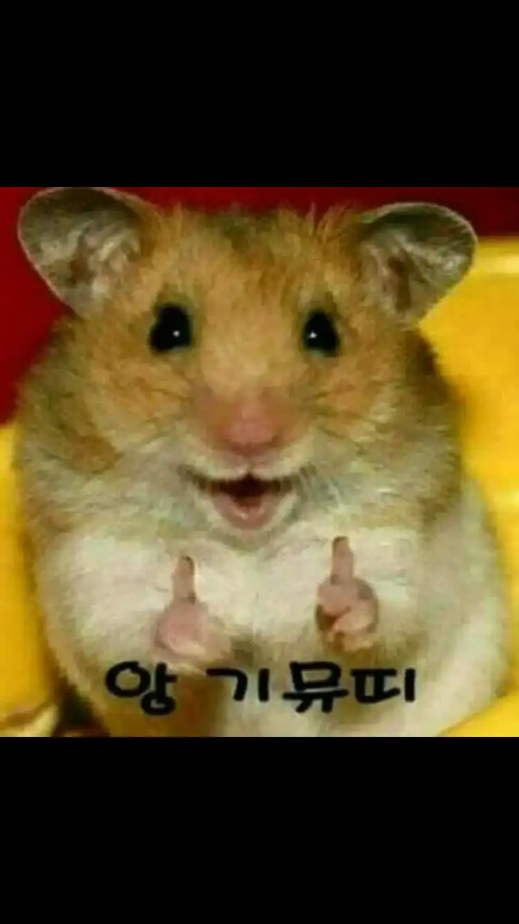 하밈jq