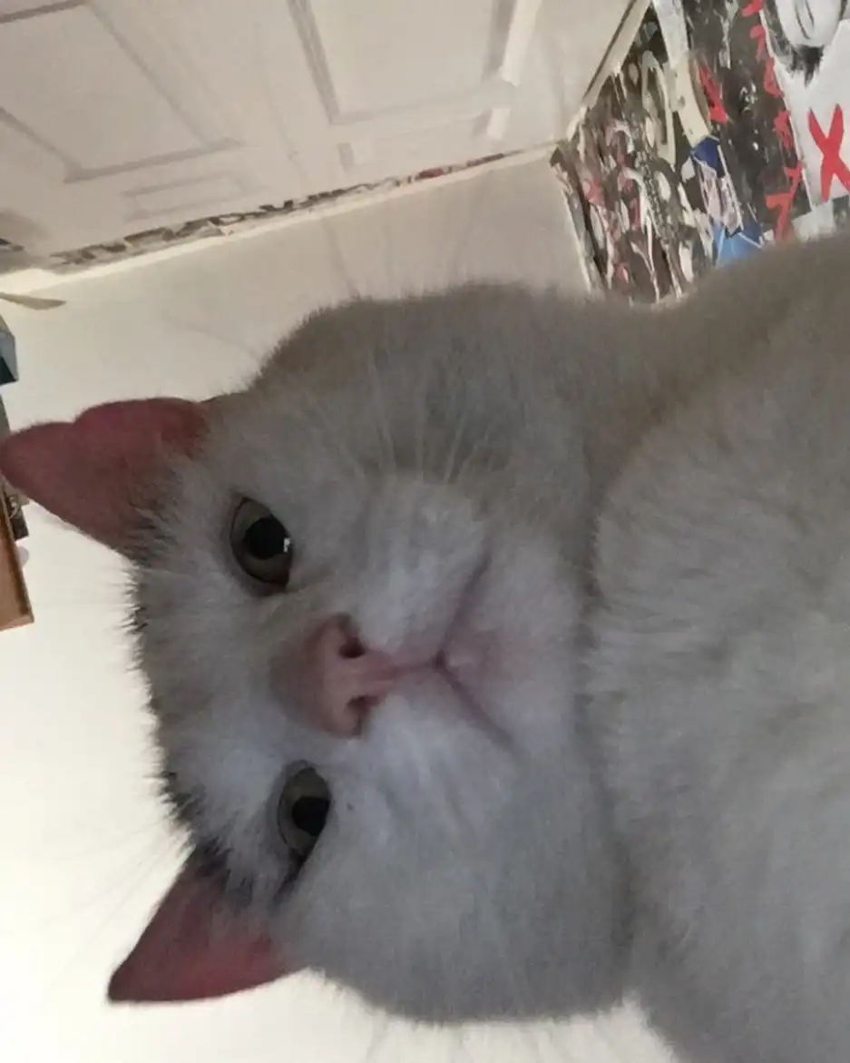 ABC발