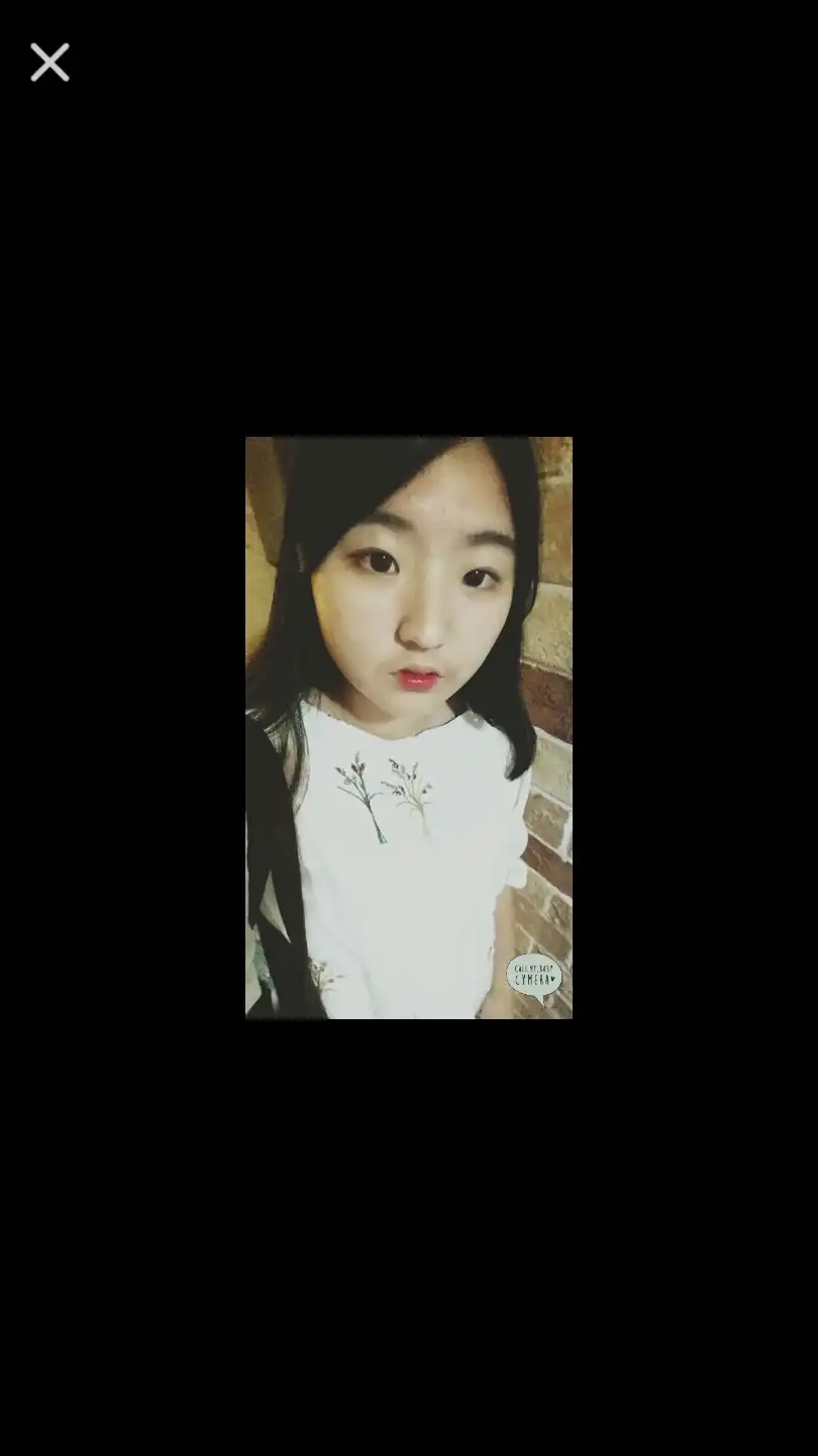 홍빈콩이