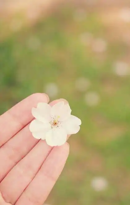 련느
