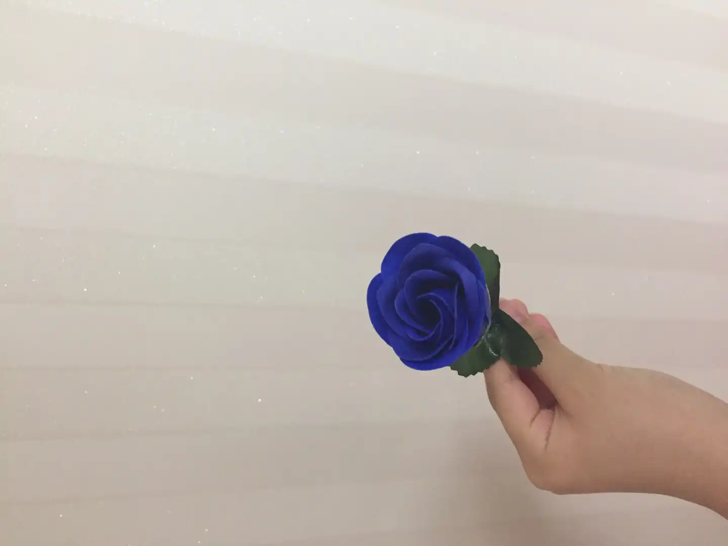 카니스