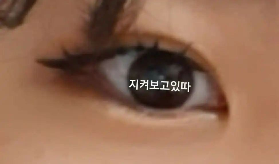 해실18
