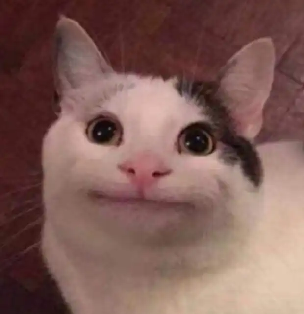 콩_콩