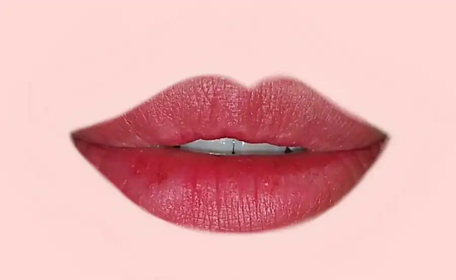 다이노플라츠 바치오브라키오 [no1 돌체]