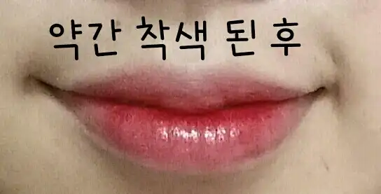 언니의파우치 리뷰 이미지 6 - [컬러 래스팅 틴트 08호 샤이오렌지]