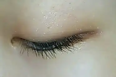 미네랄 슈가 트리플 섀도우1호 골든 브라운