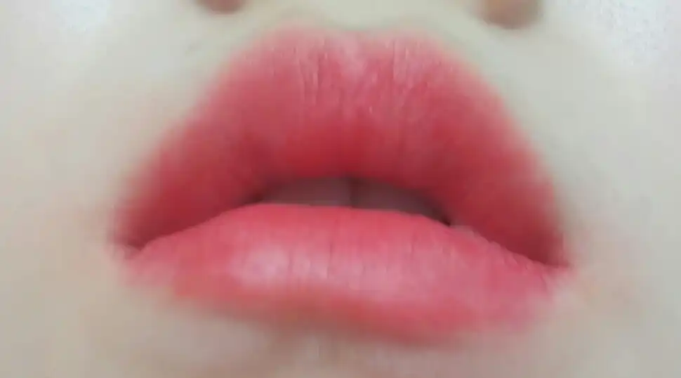 실키 래스팅 립 펜슬 건파이어