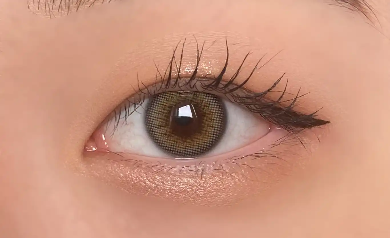 스칸디 [그레이]