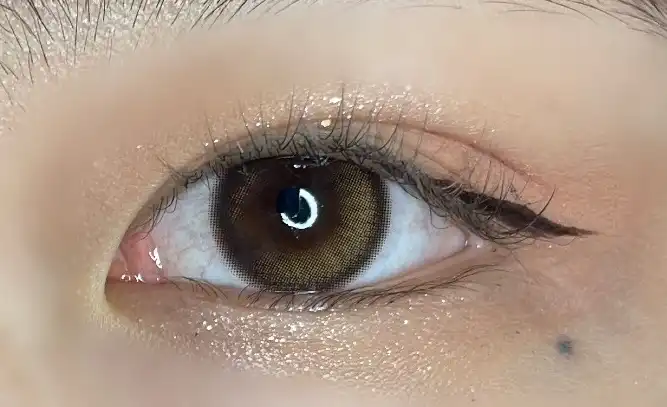 홀리몰리 레이어 팔레트 [데이 애프터 데이]