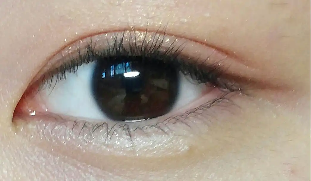 모노아이즈 [41호 캐시미어]