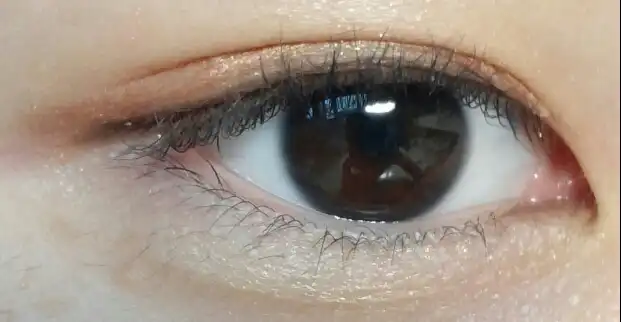 모노아이즈 (2014 NEW) 24호 카이로