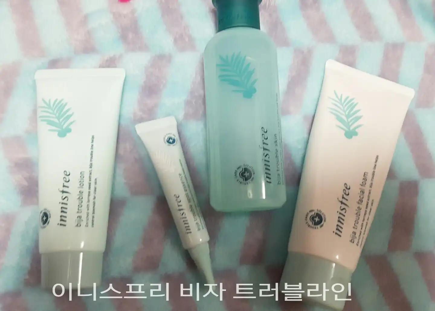 비자 트러블 스킨