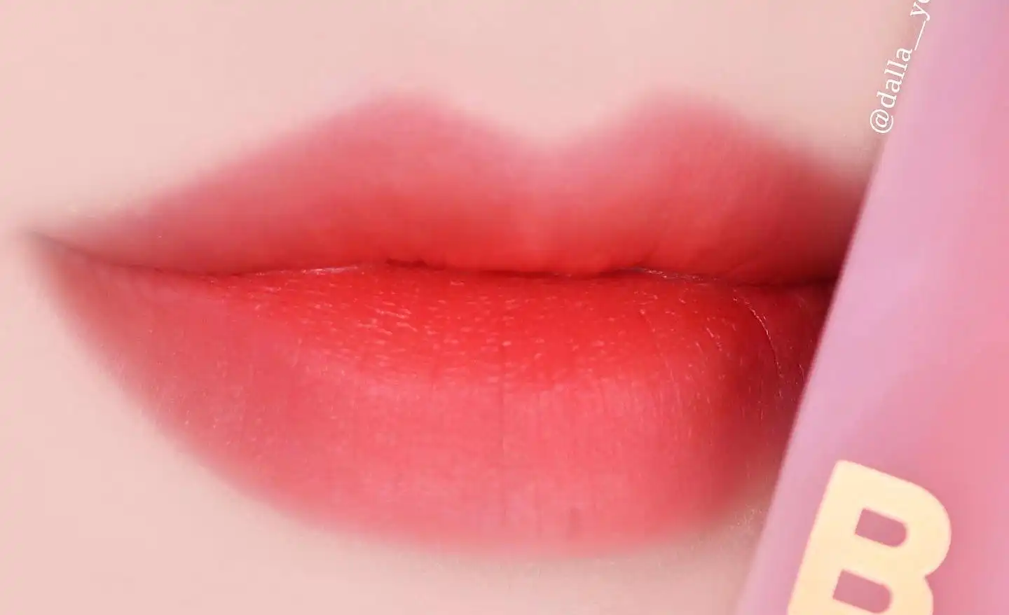 언니의파우치 리뷰 이미지 - [벨벳 블러드 베일 립 [RD01 브릭 레드 부케]]