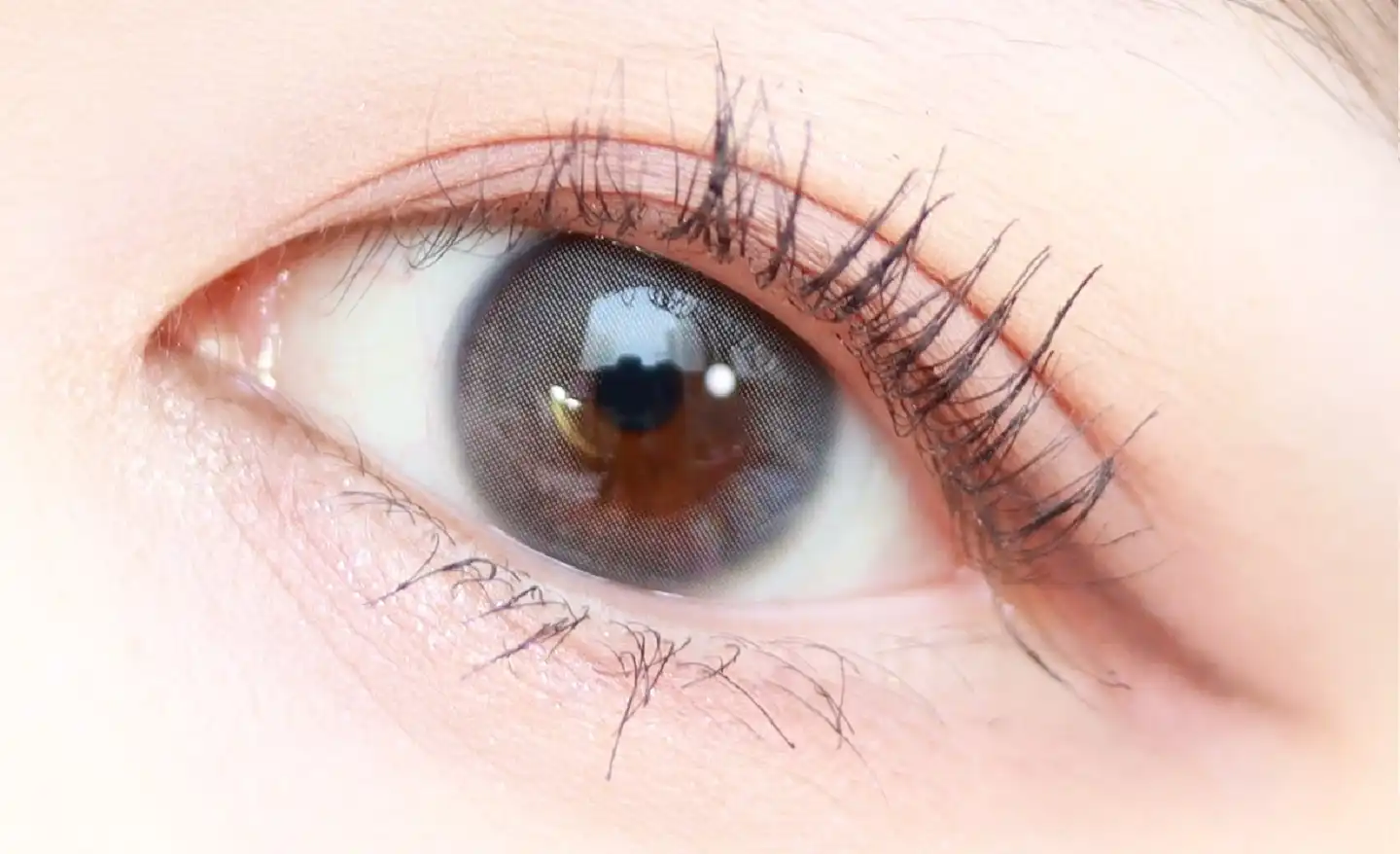 보테니컬 와일드 마스카라 [01 컬링]