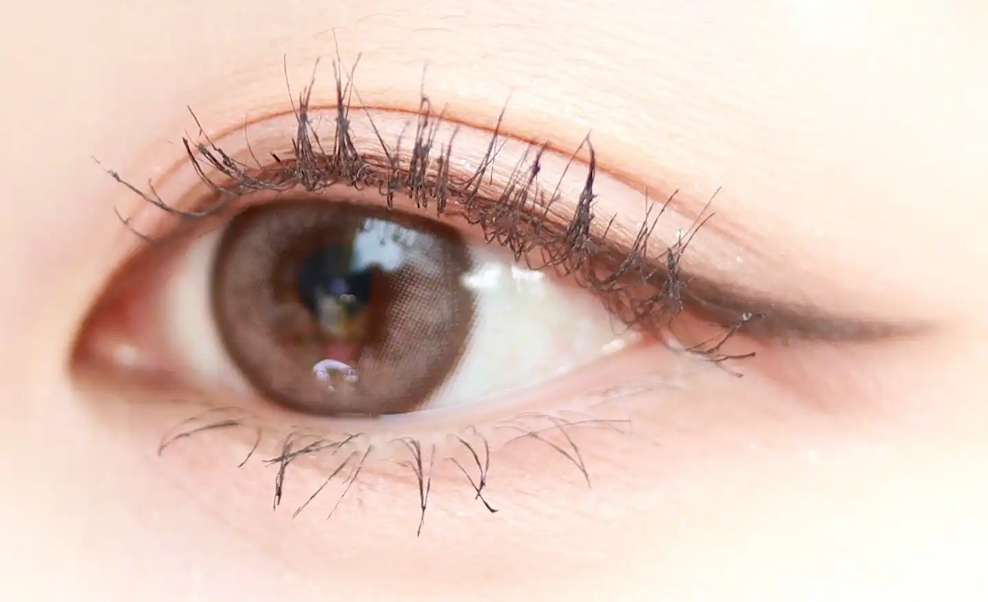 보테니컬 와일드 마스카라 [02 볼륨]