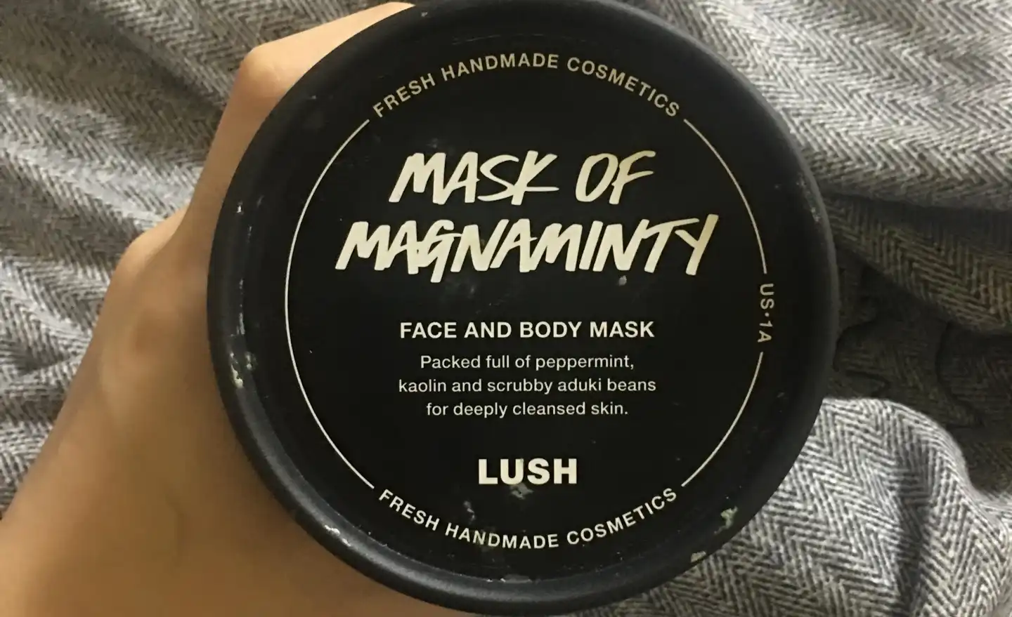 마스크 오브 매그너민티 