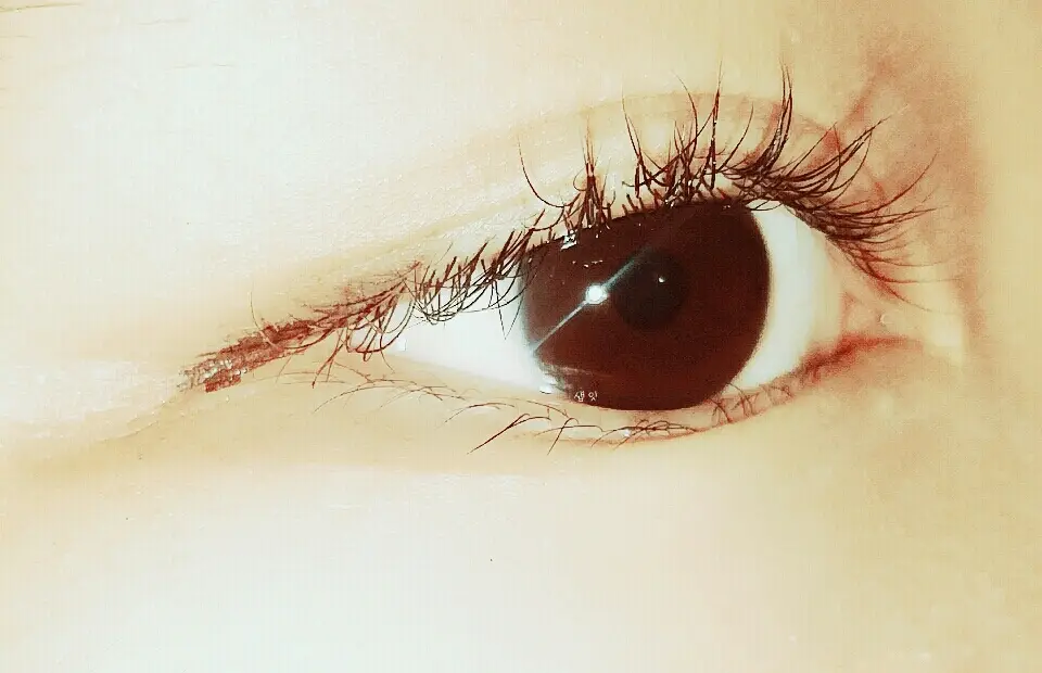 선택된 언니의파우치 리뷰 이미지 - [스타일링 아이라이너 [3호 브라운]]