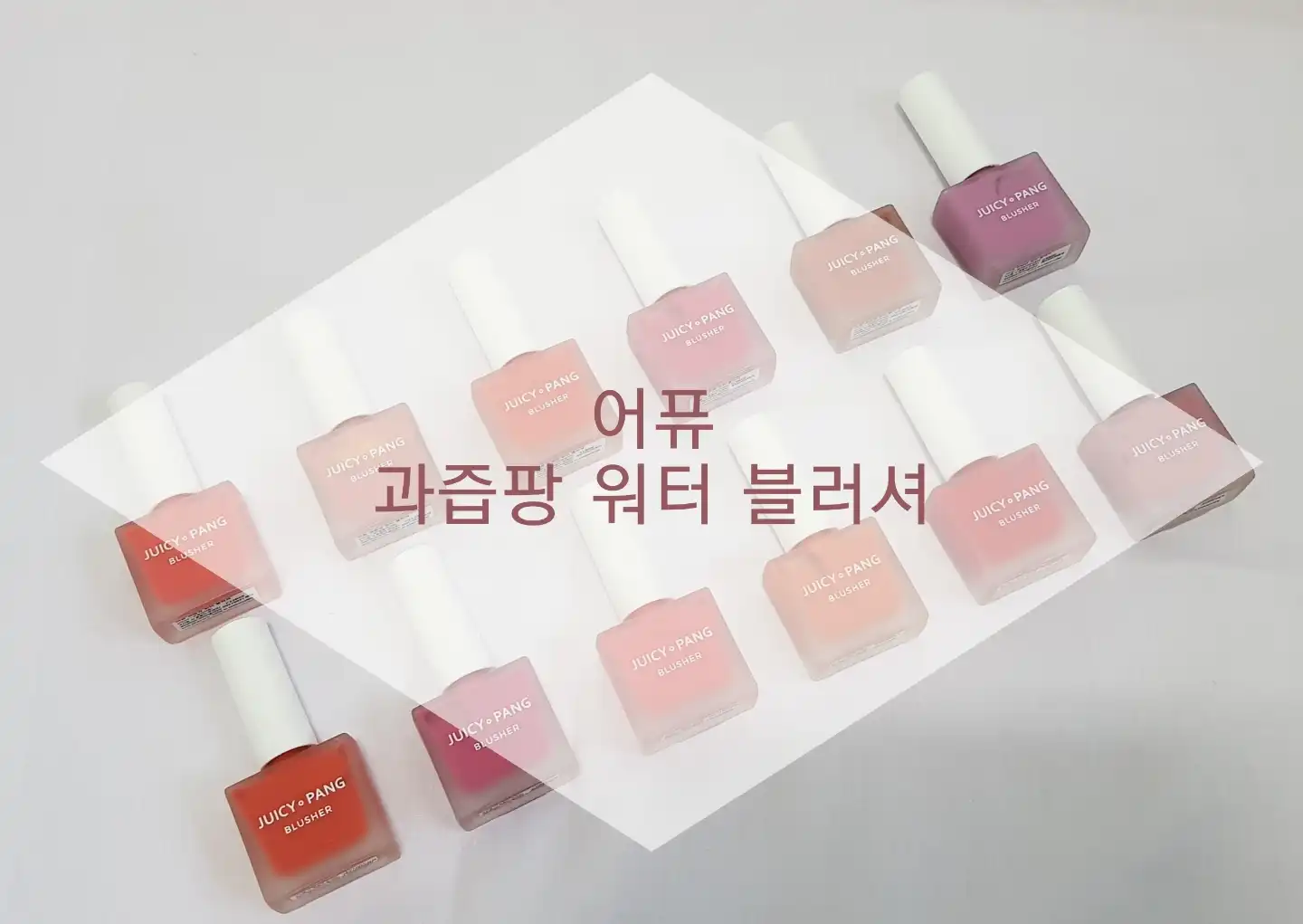 리뷰 이미지