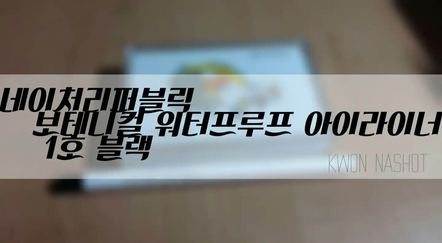 보테니컬 워터프루프 아이라이너 [1호 블랙]