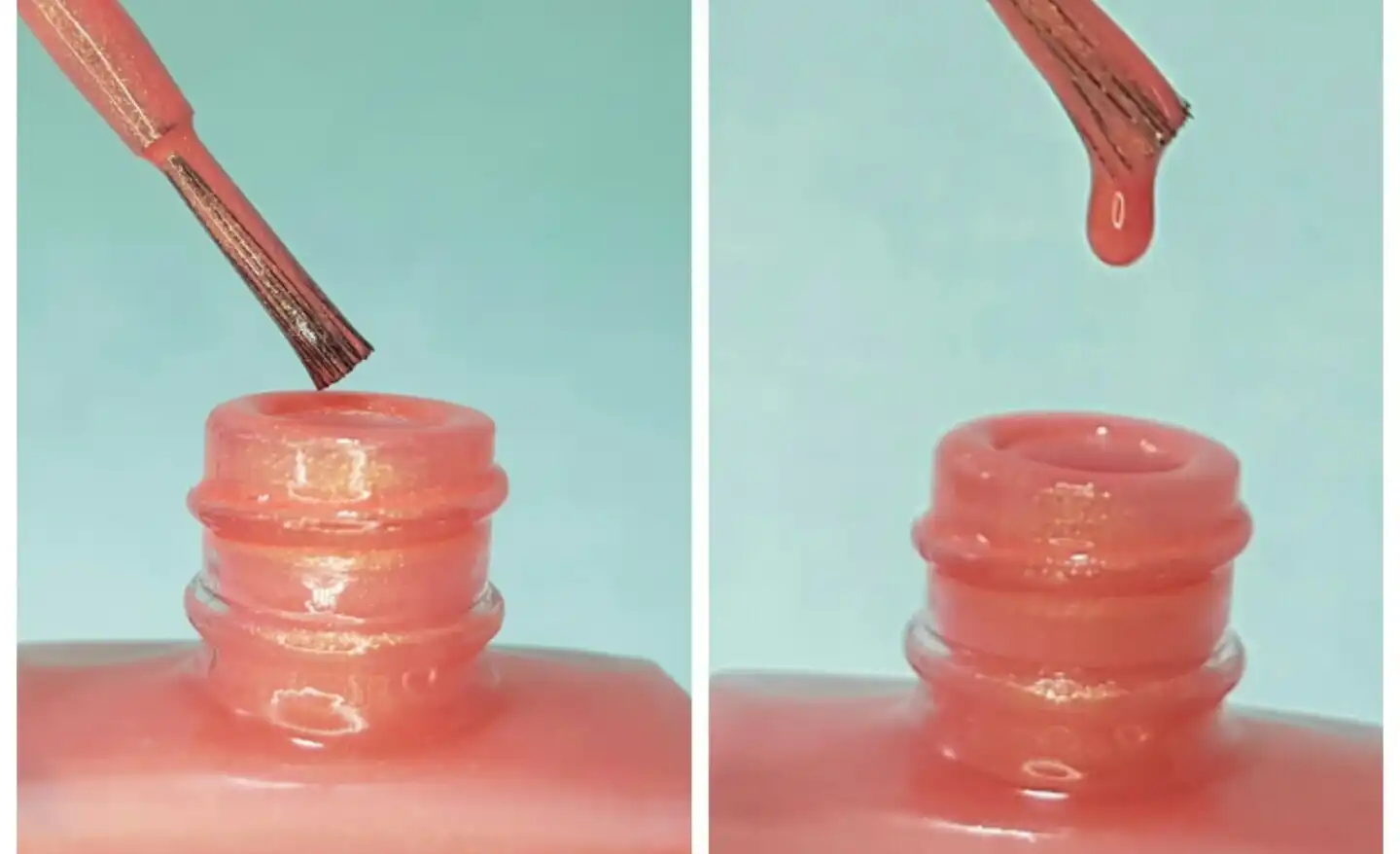 치크 폴리시 [12]