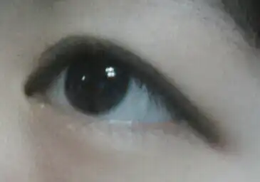 페이스잇 워터프루프 EX 오토라이너 [02 브라운]