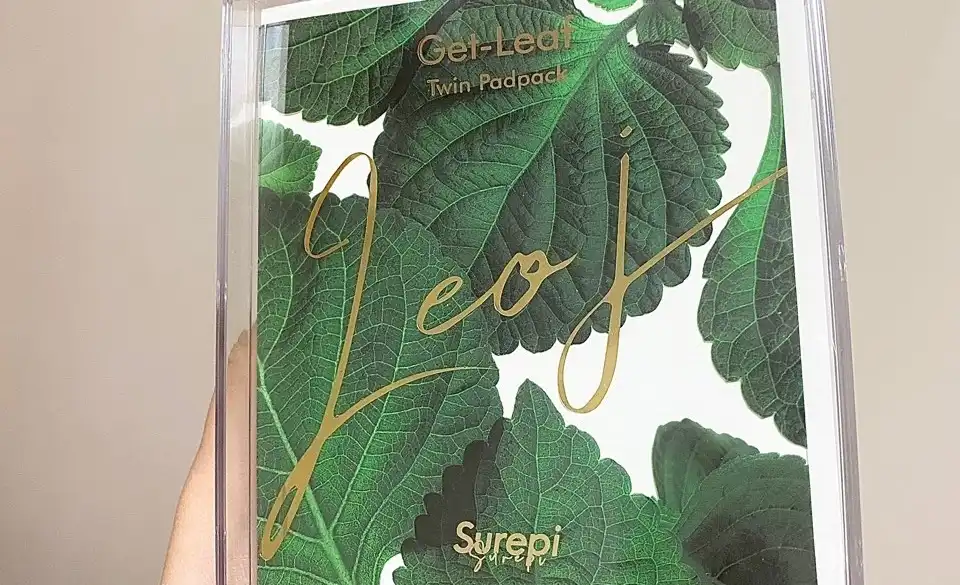 겟리프 트윈패드팩