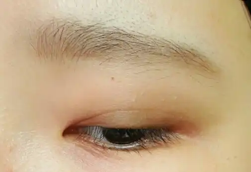 언니의파우치 리뷰 이미지 4 - [모노아이즈 (2015 NEW) 092호 코지터치]