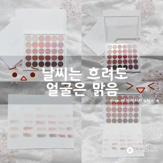 프로 터치 컬러 마스터 섀도 팔레트 스프링 에디션