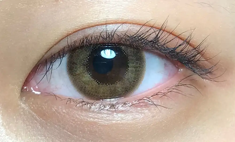 섀도우 홀로그램 [브라운]