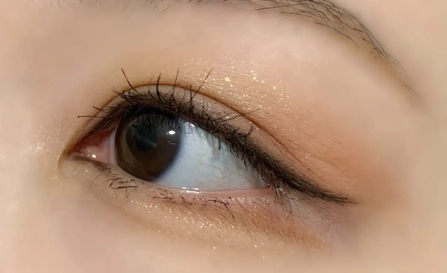 홀리몰리 레이어 팔레트 [데이 애프터 데이]