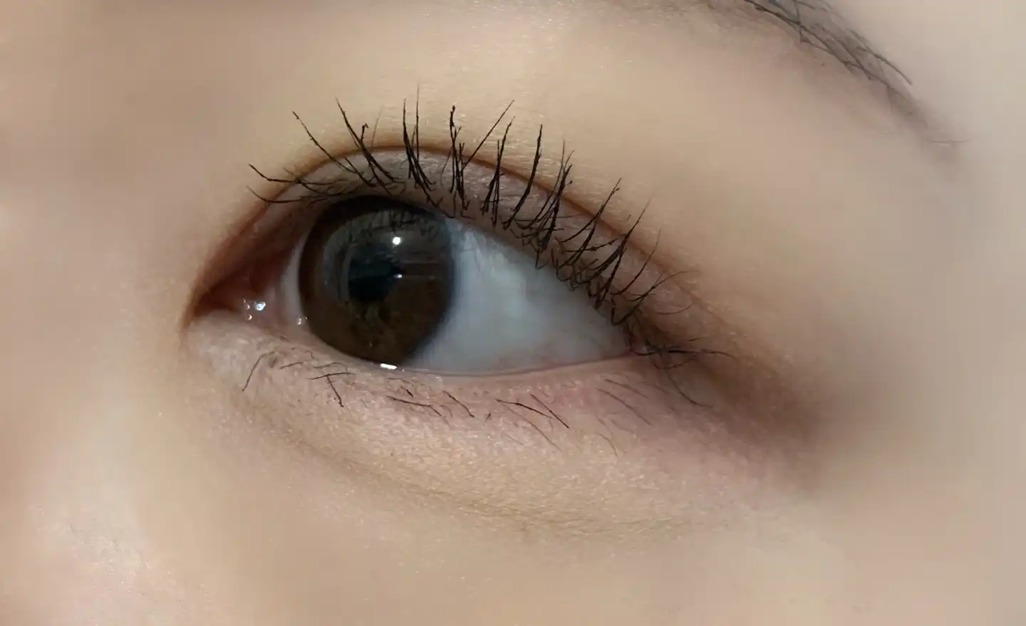 본투비 매드프루프 롱앤컬 마스카라 레벨2 [01 딥블랙]