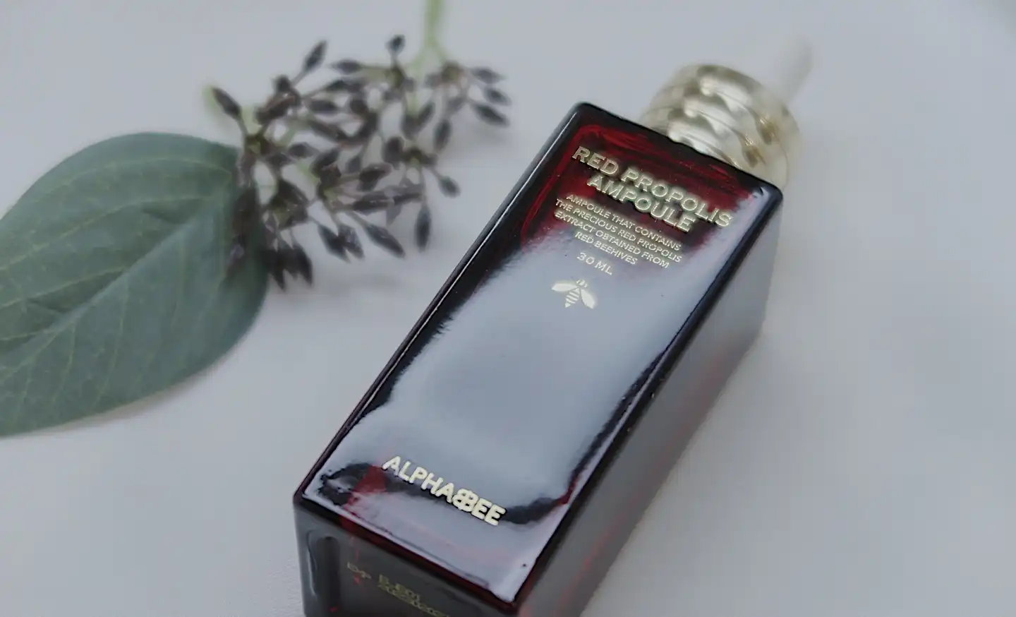 레드 프로폴리스 앰플