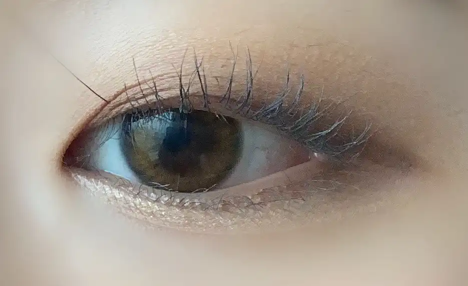 아트클래스 바이로댕 아이 캔버스 [1호 모스트 브라운]