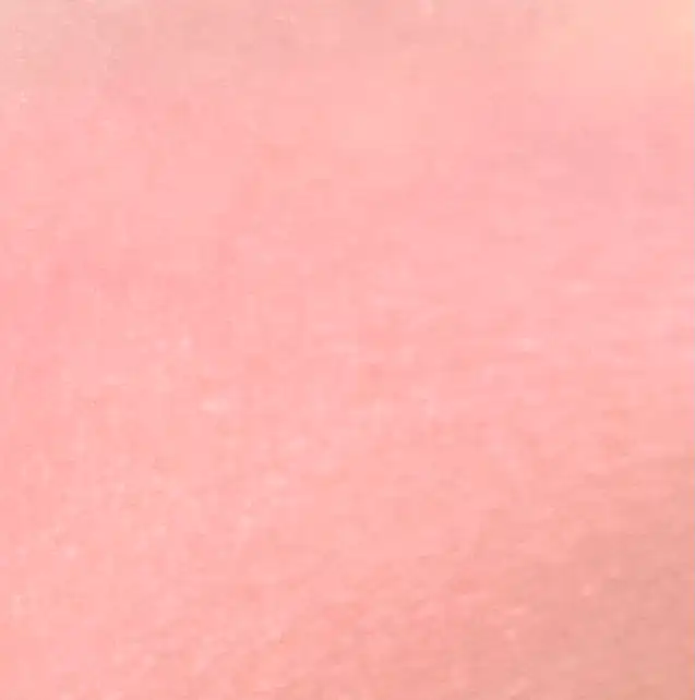 언니의파우치 리뷰 이미지 4 - [치크 팝 [08멜론 팝]]