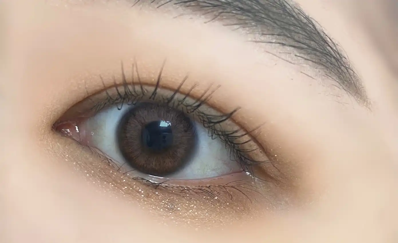 홀리몰리 레이어 팔레트 [데이 애프터 데이]