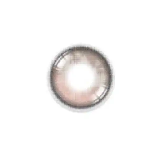 시크리티브 크리스틴 원데이 크러시 브라운