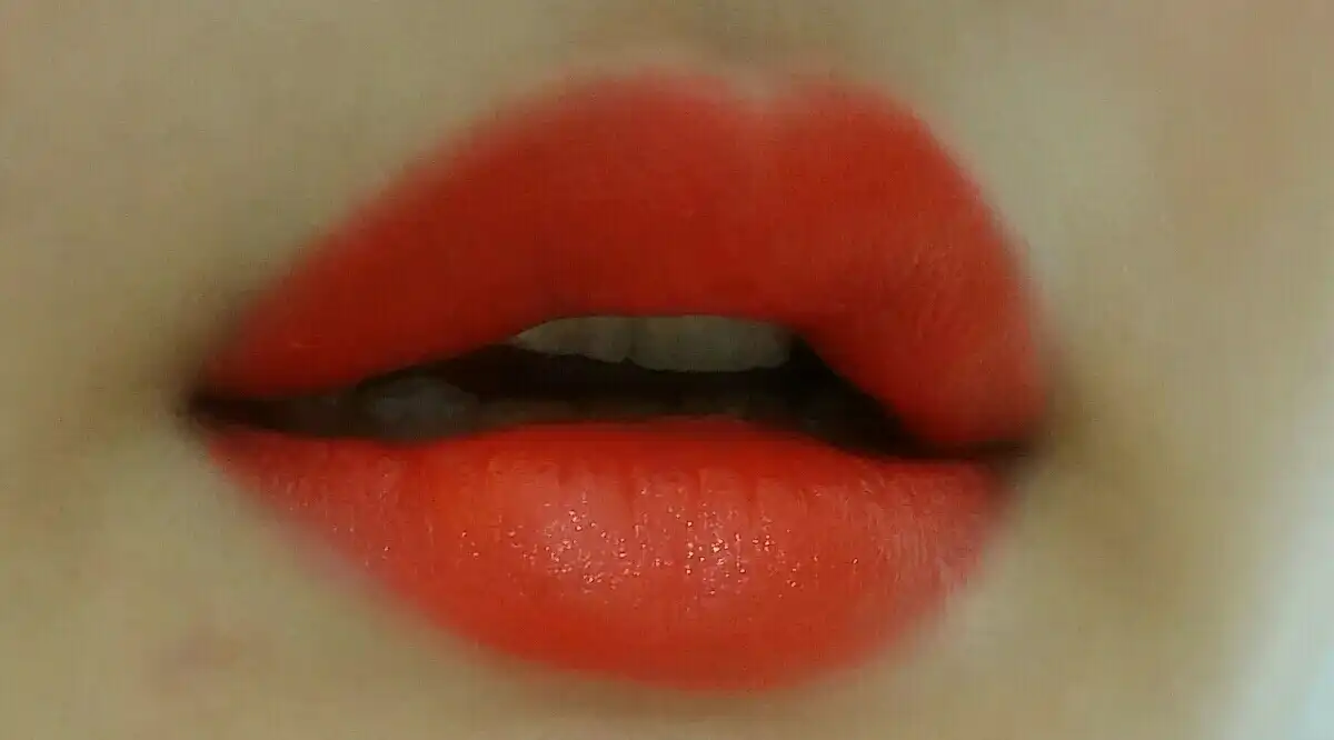 루즈 아티스트 인텐스 40