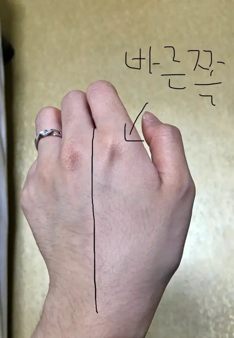 아트클래스 스튜디오 드 땅뜨 글로우 커버쿠션 [3호 베이지]