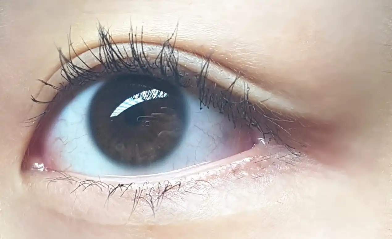 잉크 블랙 카라 [볼륨컬링]