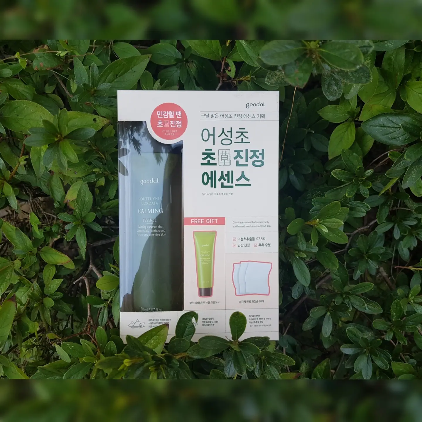 선택된 언니의파우치 리뷰 이미지 - [맑은 어성초 진정 에센스]