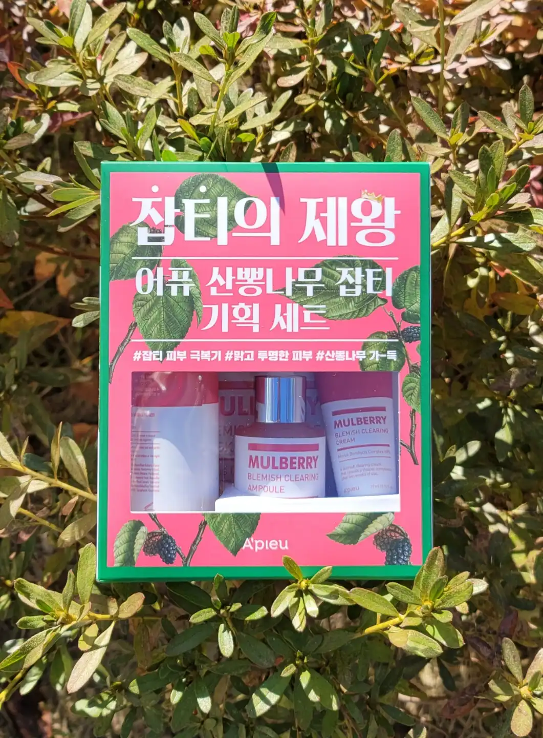 선택된 언니의파우치 리뷰 이미지 - [산뽕나무 잡티 기획 세트]