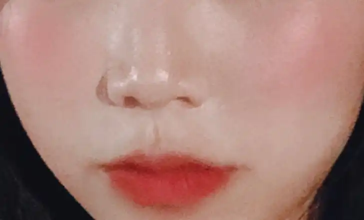 라이프 컬러 팔레트 치크 [01 코지팝]