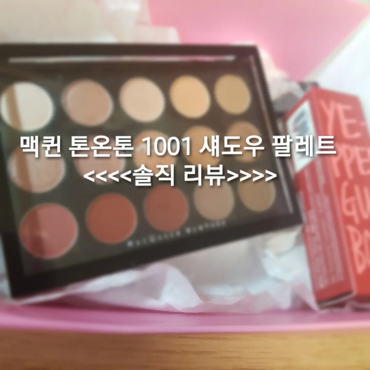 선택된 언니의파우치 리뷰 이미지 - [1001 톤온톤 섀도우팔레트]