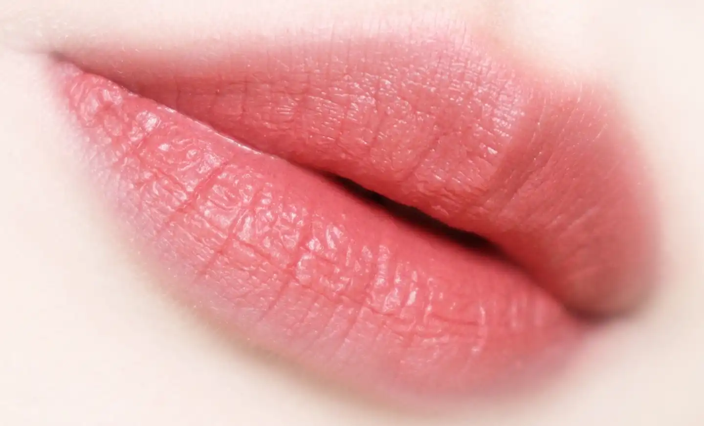 립 파라다이스 인텐스 새틴 [804 아델]