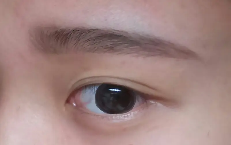 선택된 언니의파우치 리뷰 이미지 - [에코 납작 아이브로우 펜슬 [4호 딥브라운]]