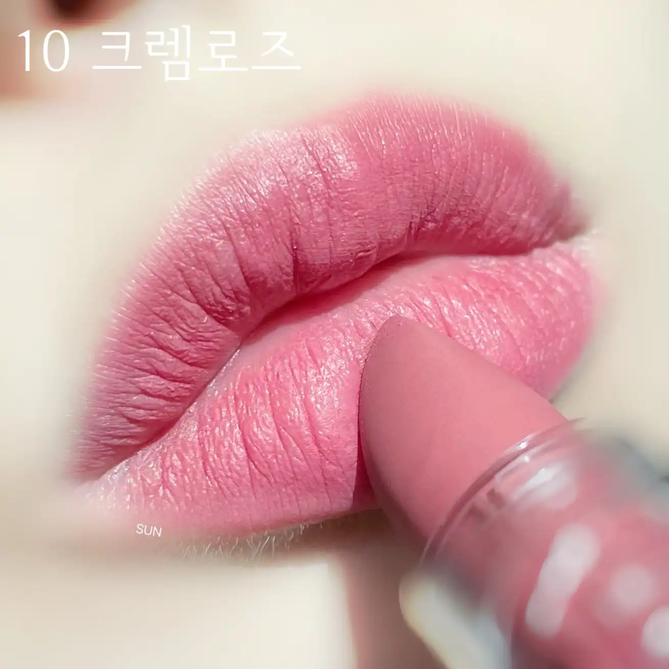 언니의파우치 리뷰 이미지 9 - [라스트 파우더 립스틱 2 [08 얼그레이]]