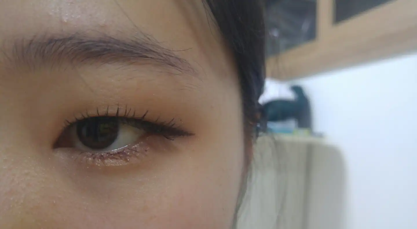 더 프로페셔널 아이래쉬 06호 데일리