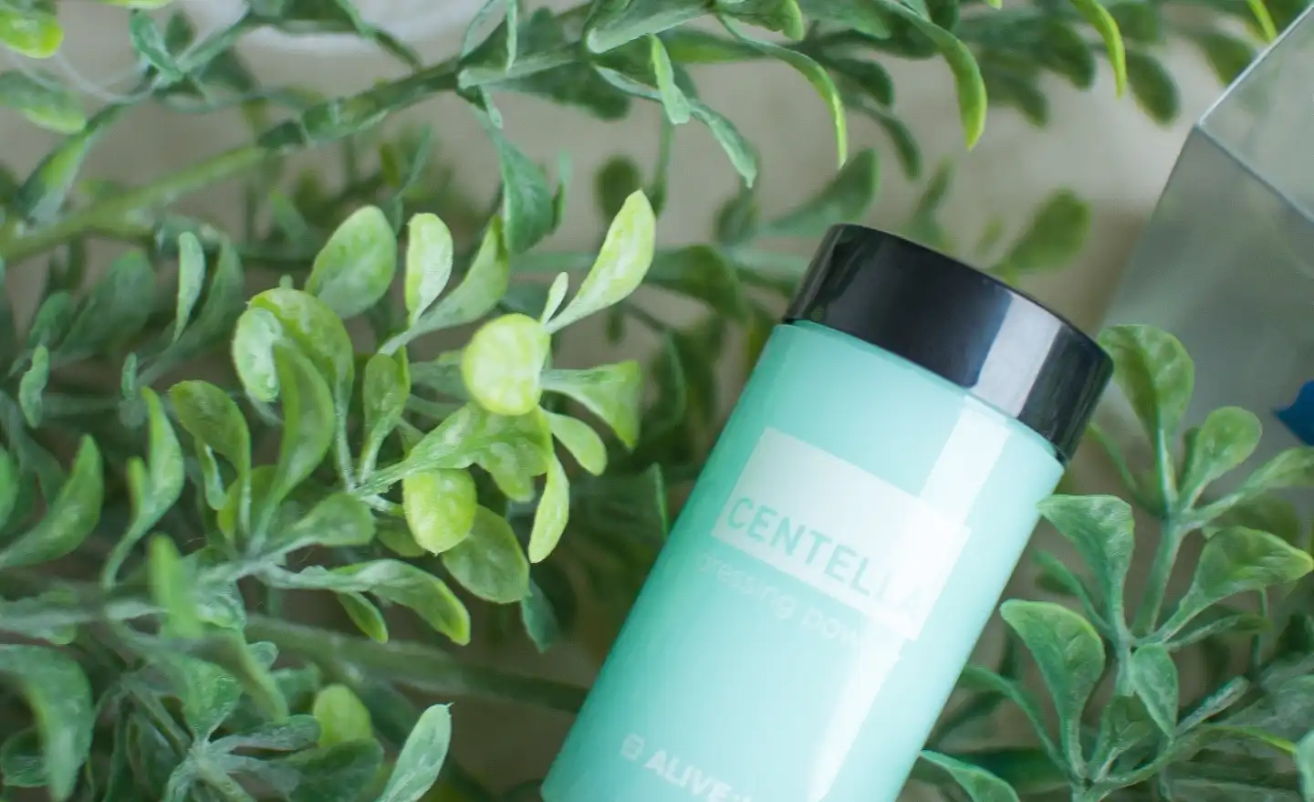 센텔라 드레싱 파우더